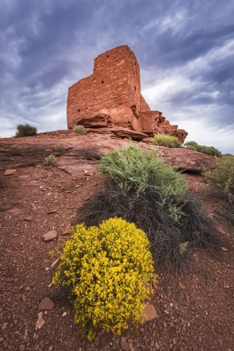 Framed Print : Evening light on Wukoki Ruin, Wupatki National Monument, Arizona Framed Print : Evening light on Wukoki Ruin, Wupatki National Monument, Arizona