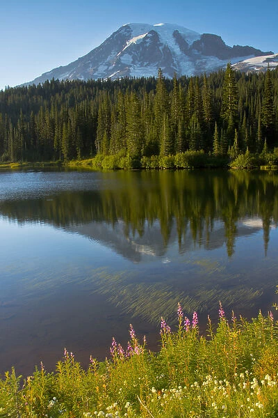 Evening; Mount Rainier; Reflection Lake; Mount Rainier National Park; Washington; USA