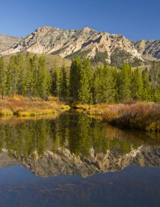Framed Print : Evergreens; Boulder Mountains; reflection; Big Wood River; Sawtooth National Forest Framed Print : Evergreens; Boulder Mountains; reflection; Big Wood River; Sawtooth National Forest