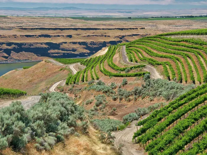 Framed Print : An extraordinary vineyard of beauty and scope carved out of a steep, south-facing slope alongside the Columbia River in the southeast corner of the Horse Heaven Hills