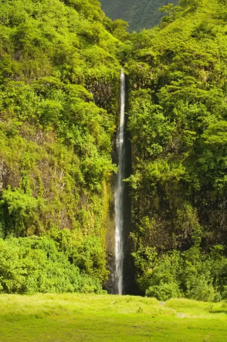 Framed Print : Faarumai Waterfall, Tahiti Nui, Society Islands, French Polynesia, South Pacific Framed Print : Faarumai Waterfall, Tahiti Nui, Society Islands, French Polynesia, South Pacific