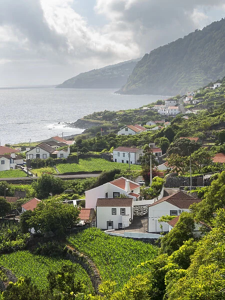 Faja dos Vimes. Sao Jorge Island in the Azores, an autonomous region of Portugal