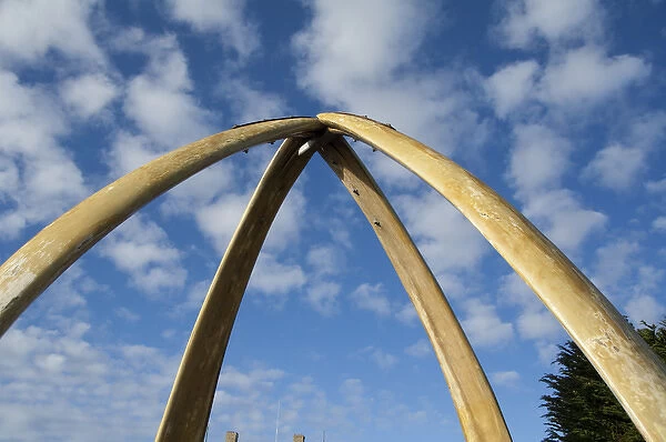 Falkland Island, Stanley (aka Port Stanley). Whalebone Arch, constructed in1933