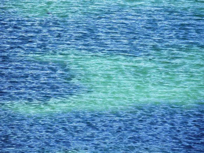 Framed Print : Falkland Islands, Carcass Island. The brilliant blue of the lagoon creates eye-popping colors and patterns Framed Print : Falkland Islands, Carcass Island. The brilliant blue of the lagoon creates eye-popping colors and patterns