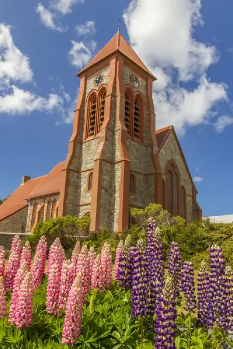 Framed Print : Falkland Islands, East Falkland, Stanley. Christ Church Cathedral and lupine flowers Framed Print : Falkland Islands, East Falkland, Stanley. Christ Church Cathedral and lupine flowers
