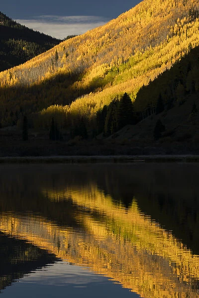 Fall aspen trees reflected on Crystal Lake at sunrise, near Ouray, Colorado