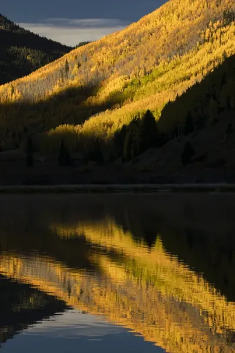 Framed Print : Fall aspen trees reflected on Crystal Lake at sunrise, near Ouray, Colorado