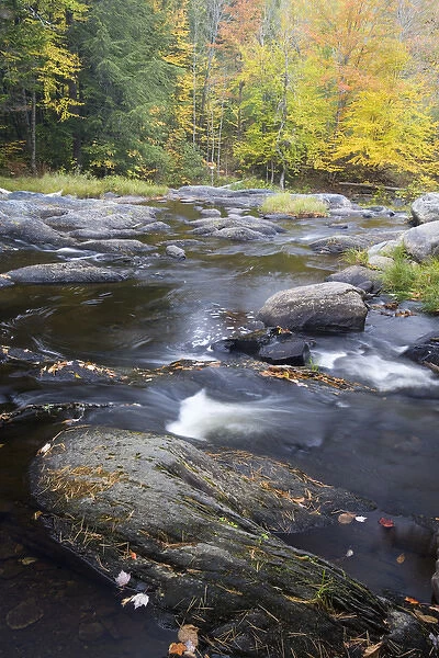 Fall on Big Wilson stream in Elliotsville Maine USA