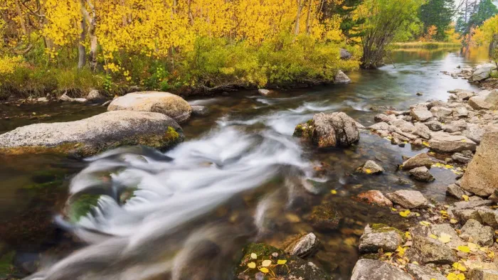 Framed Print : Fall color along Bishop Creek, Inyo National Forest, California USA Framed Print : Fall color along Bishop Creek, Inyo National Forest, California USA