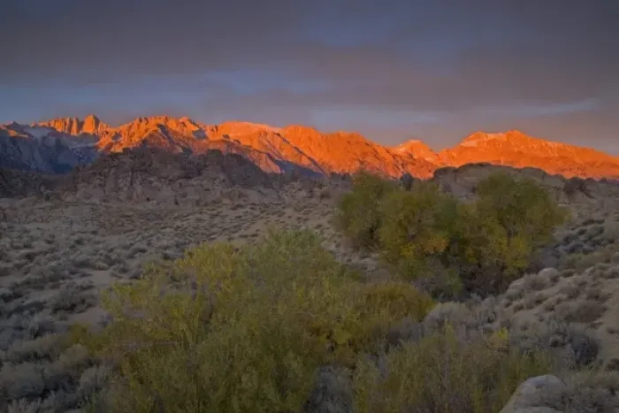 Framed Print : Fall Color on Cottonwoods with backdrop of the Eastern Sierra Mountains = Alabama