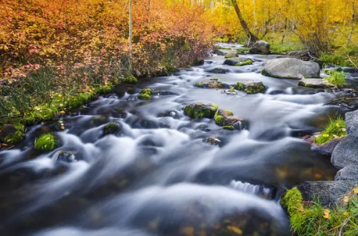 Framed Print : Fall color along Lundy Creek, Inyo National Forest, Sierra Nevada Mountains, California Framed Print : Fall color along Lundy Creek, Inyo National Forest, Sierra Nevada Mountains, California