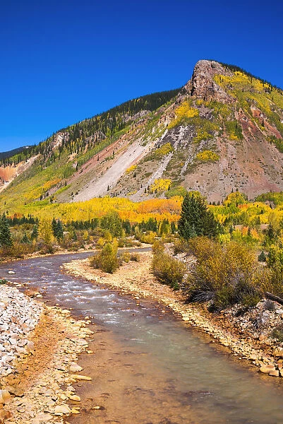 Fall color along Mineral Creek under Red Mountain Pass, San Juan National Forest