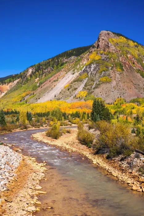 Framed Print : Fall color along Mineral Creek under Red Mountain Pass, San Juan National Forest Framed Print : Fall color along Mineral Creek under Red Mountain Pass, San Juan National Forest