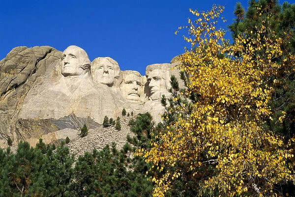 Fall color under Mount Rushmore, Mount Rushmore National Memorial, South Dakota, USA