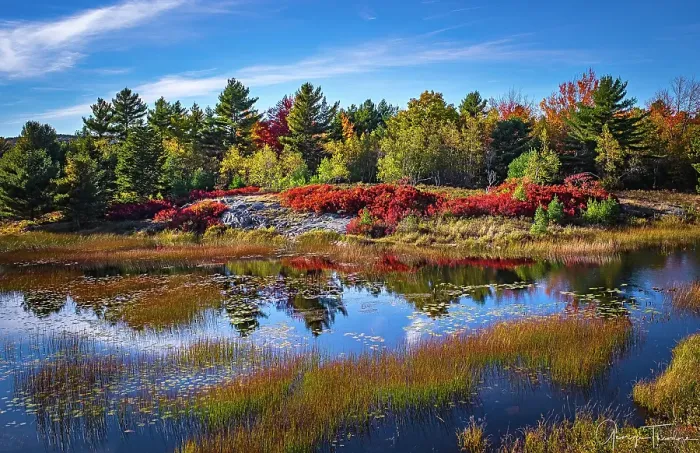 Framed Print : Fall colors along Duck Pond Road at Acadia National Park Framed Print : Fall colors along Duck Pond Road at Acadia National Park