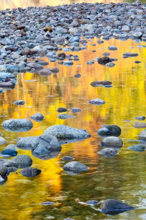 Framed Print : Fall colors reflect in the Saco River in Bartlett, New Hampshire. White Mountains