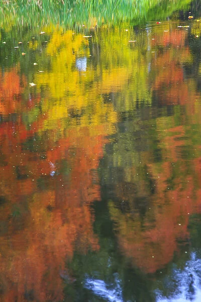 Fall colors are reflected in this pond becoming abstract as the wind blew the surface