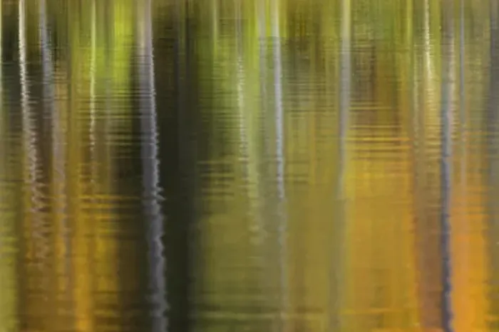 Framed Print : Fall colors reflecting on Irwin Lake, Hiawatha National Forest, Alger County, Upper Framed Print : Fall colors reflecting on Irwin Lake, Hiawatha National Forest, Alger County, Upper