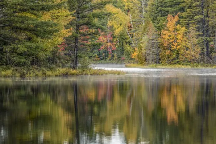 Framed Print : Fall colors along shoreline of Council Lake, Hiawatha National Forest Framed Print : Fall colors along shoreline of Council Lake, Hiawatha National Forest