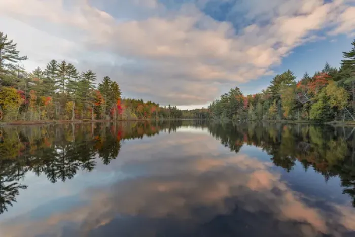 Framed Print : Fall colors on shoreline of Irwin Lake, Hiawatha National Forest, Alger County, Upper