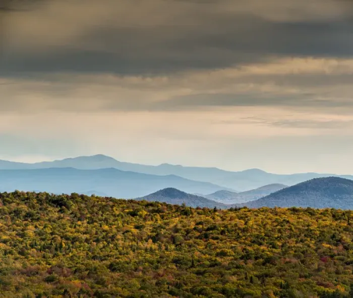Framed Print : Fall colors in the White Mountains, Vermont