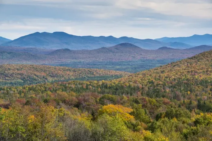 Framed Print : Fall colors in the White Mountains, Vermont Framed Print : Fall colors in the White Mountains, Vermont