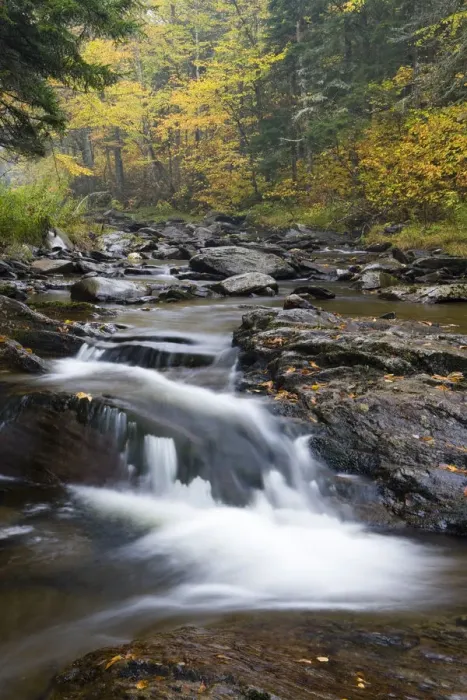 Framed Print : Fall along the East Branch of Indian Stream in Pittsburgh, New Hampshire Framed Print : Fall along the East Branch of Indian Stream in Pittsburgh, New Hampshire
