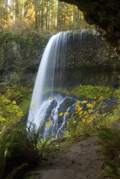 Framed Print : Fall Foliage, Lower South Falls, Silver Falls State Park, Oregon Framed Print : Fall Foliage, Lower South Falls, Silver Falls State Park, Oregon