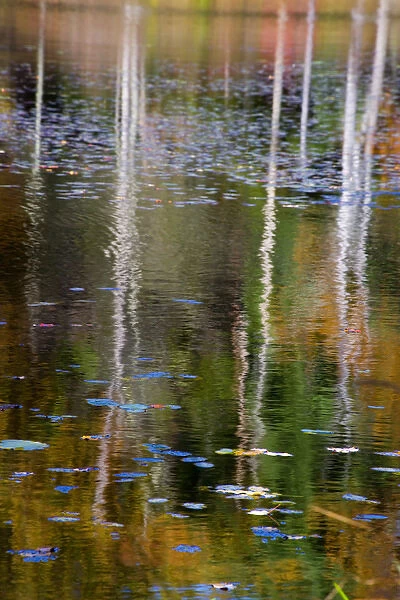 Fall foliage reflecting on Blackledge Pond