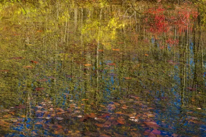 Framed Print : Fall foliage reflection in lake water