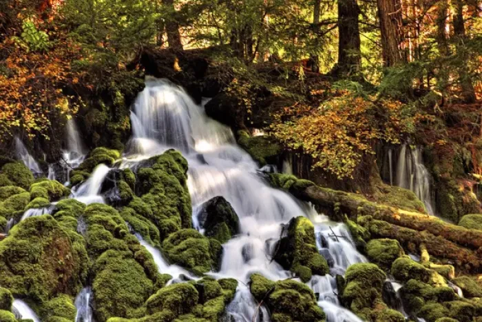 Framed Print : A fall foliage scene Clearwater Falls in Oregon