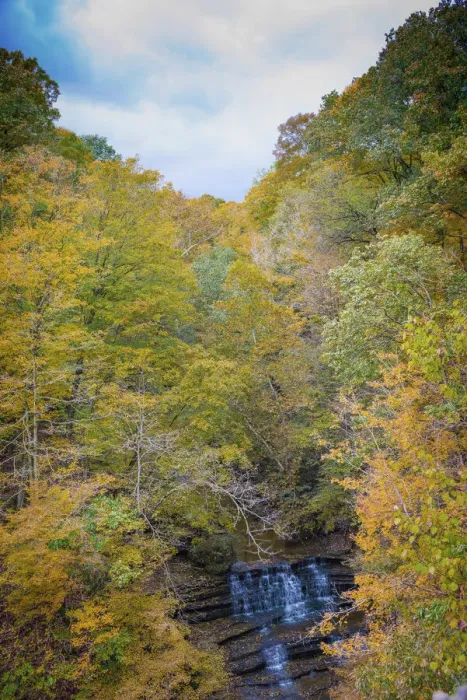Framed Print : Fall Foliage Over Waterfall in Clifty Creek Park, Southern Indiana Framed Print : Fall Foliage Over Waterfall in Clifty Creek Park, Southern Indiana