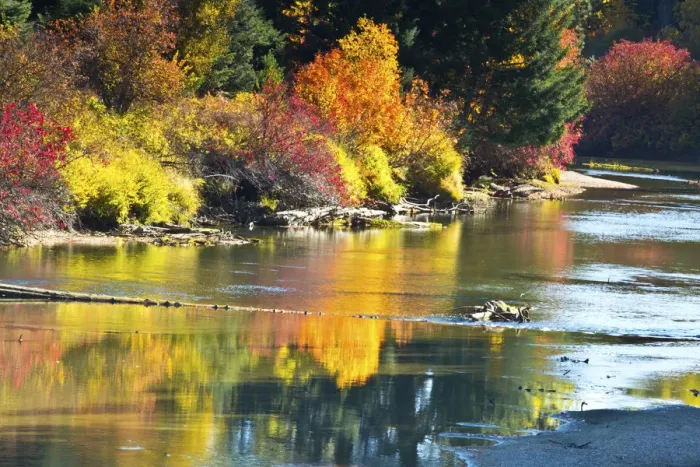 Framed Print : Fall foliage, White River Area, Wenatchee National Forest, Washington State, USA Framed Print : Fall foliage, White River Area, Wenatchee National Forest, Washington State, USA