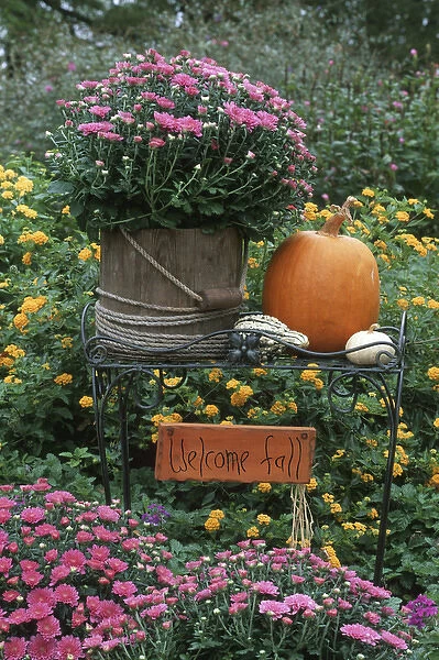 Fall Garden display: Mums in wooden bucket, pumpkins, gourds, lantana & welcome