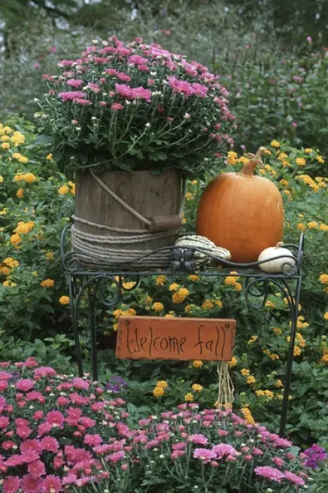Framed Print : Fall Garden display: Mums in wooden bucket, pumpkins, gourds, lantana & welcome Framed Print : Fall Garden display: Mums in wooden bucket, pumpkins, gourds, lantana & welcome