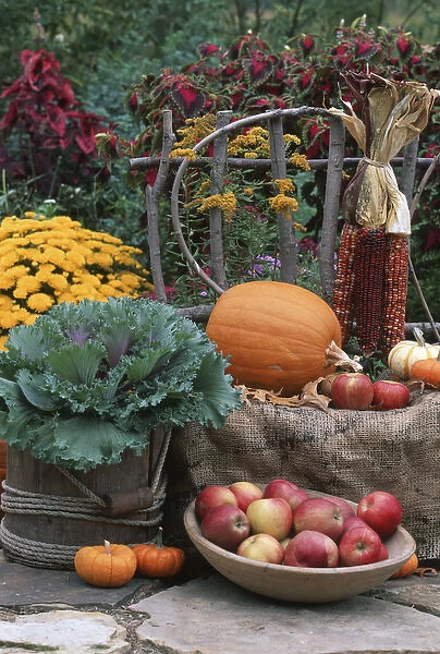 Fall Garden display: Ornamental Kale, Apples in bowl, Pumpkins, Mums, indian corn