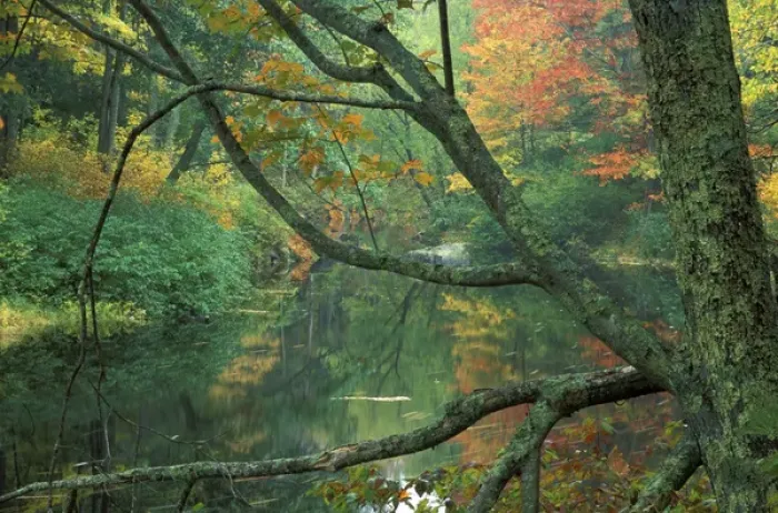 Framed Print : Fall along the Lamprey River in Durham, New Hampshire Framed Print : Fall along the Lamprey River in Durham, New Hampshire