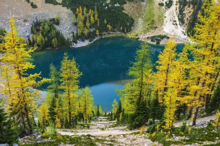 Framed Print : Fall larch trees and hikers on trail above Lake Agness, Banff National Park, Alberta Framed Print : Fall larch trees and hikers on trail above Lake Agness, Banff National Park, Alberta