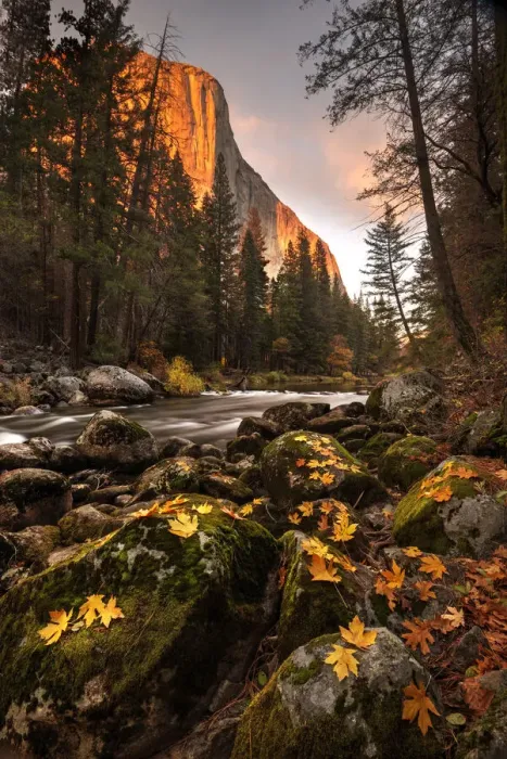 Framed Print : Fall along Merced River in Yosemite National Park, California Framed Print : Fall along Merced River in Yosemite National Park, California