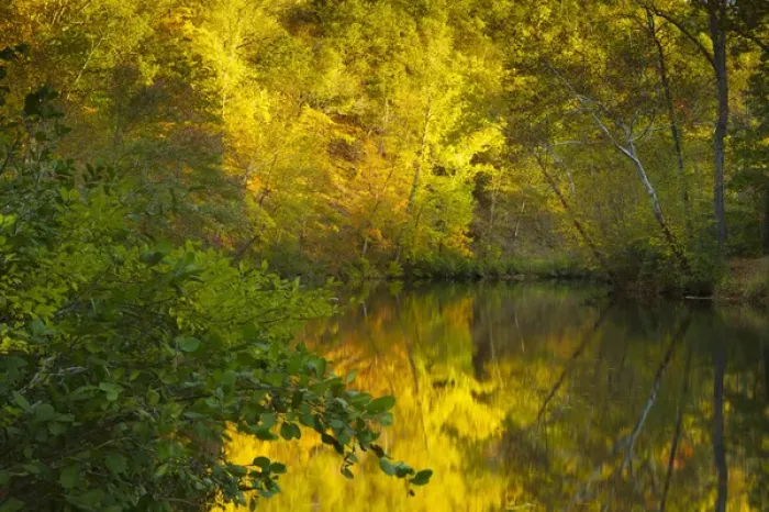 Framed Print : Fall scene on Craigs creek. Virginia