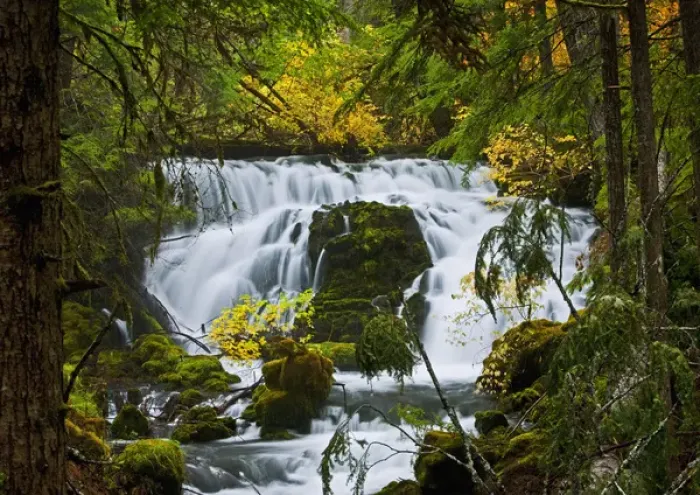Framed Print : A fall scene of flowing water along the Empqua River in Steamboat Oregon Framed Print : A fall scene of flowing water along the Empqua River in Steamboat Oregon