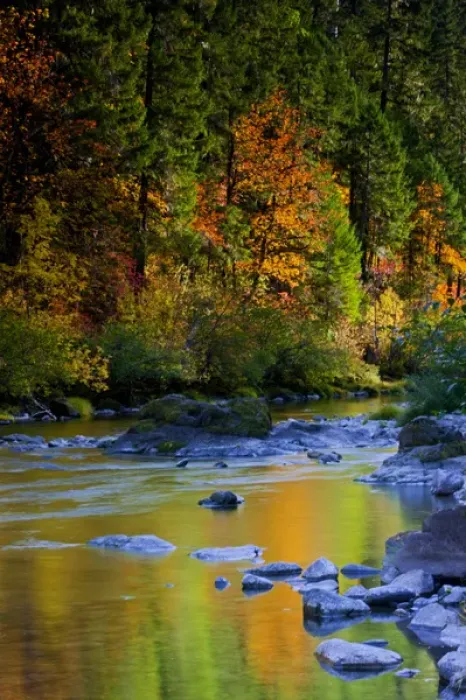 Framed Print : A fall scene of North Umpqua River in Umpqua National Forest Oregon