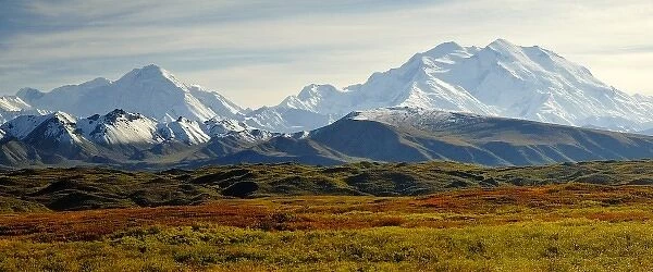 Fall tundra fronts Denali and other snow-capped peaks in the Alaska Range