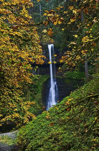 A fall veiw of Middle Falls at Silver Falls State Park Oregon
