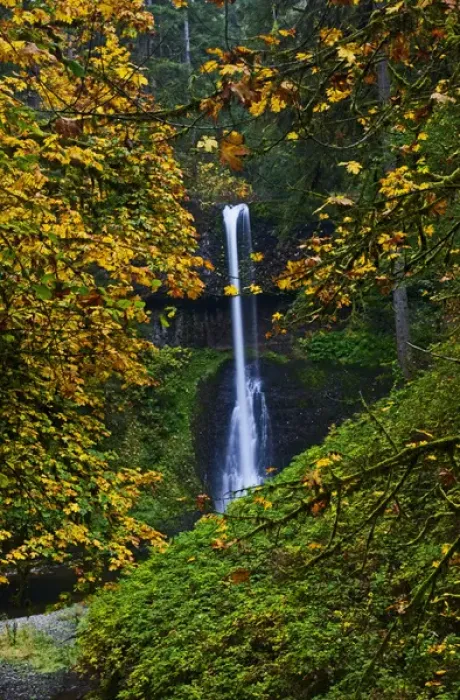 Framed Print : A fall veiw of Middle Falls at Silver Falls State Park Oregon