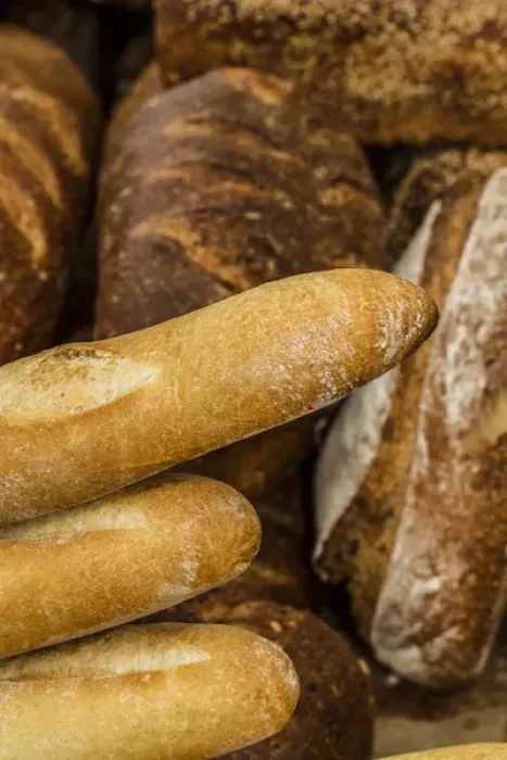 Framed Print : Falls Church, Virginia. Assorted fresh baked bread. French Bread, wheat loaves Framed Print : Falls Church, Virginia. Assorted fresh baked bread. French Bread, wheat loaves