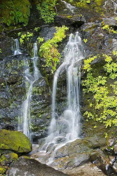 Falls Creek Falls, Mount Rainier National Park; Washington; USA