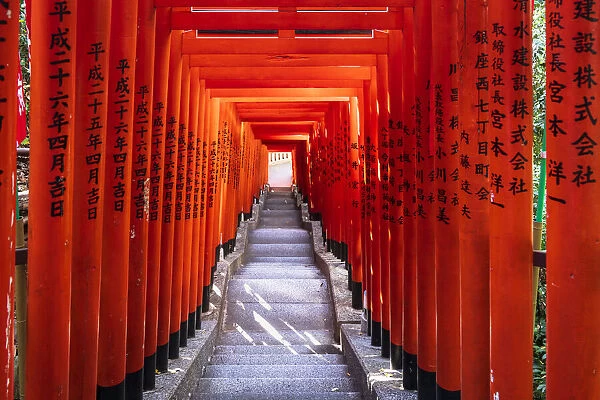 Famous Torii, or gates of the entrance to the Hie Shrine in Tokyo, Japan