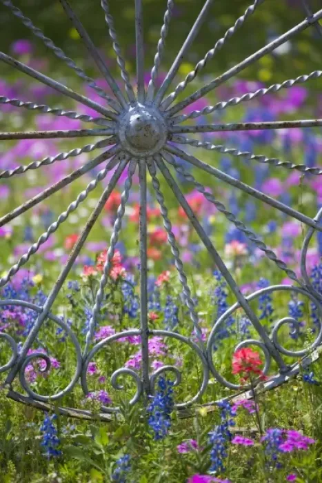 Framed Print : Fancy wheel Gate and fence with backdrop of Texas Wildflowers, Blue Bonnets, Indian Paint Brush Framed Print : Fancy wheel Gate and fence with backdrop of Texas Wildflowers, Blue Bonnets, Indian Paint Brush