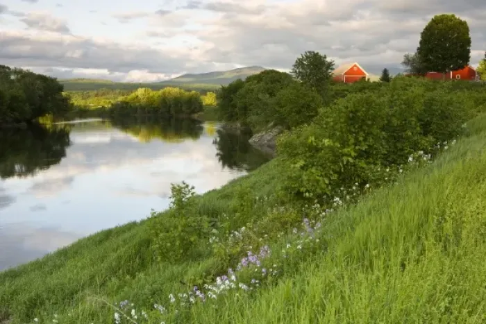 Framed Print : A farm on the banks of the Connecticut River in Newbury, Vermont. Phlox. (Not available